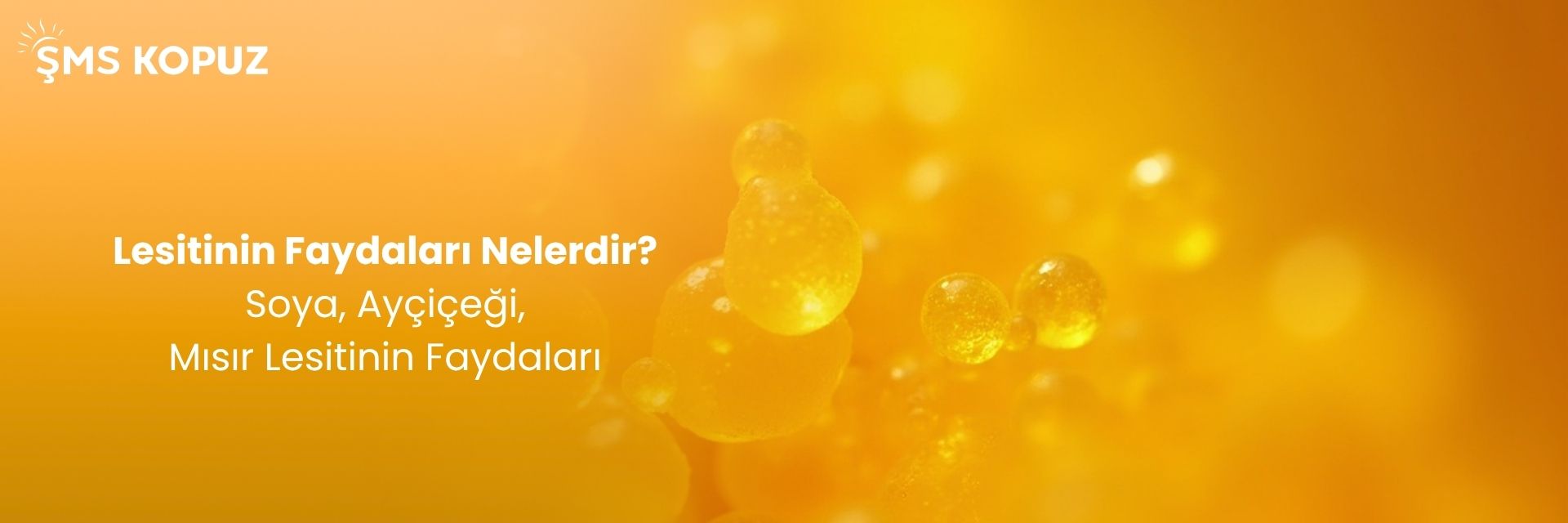 Endüstriyel Şeker
