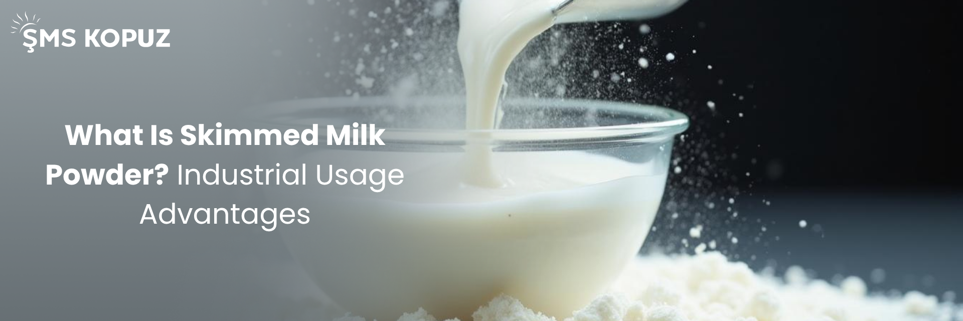 What Is Skimmed Milk Powder? Industrial Usage Advantages