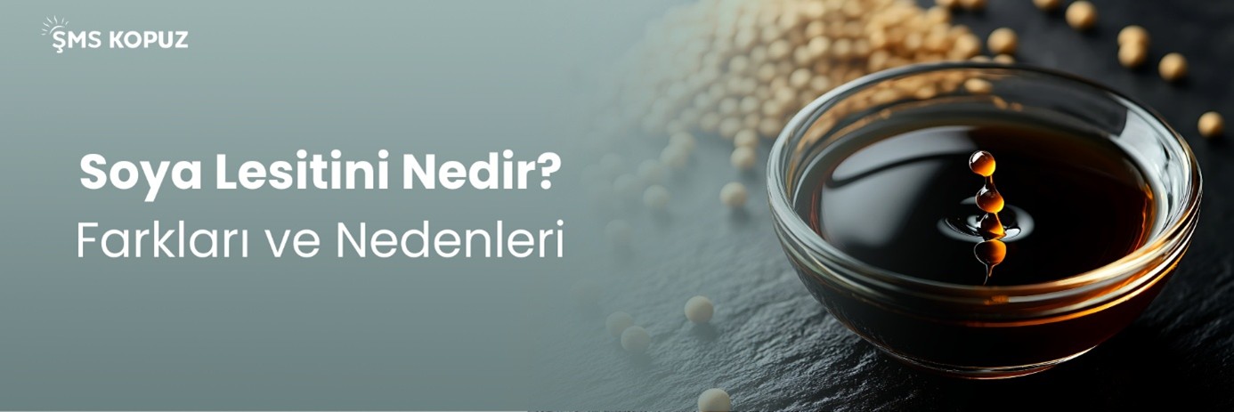 Soya Lesitini Nedir? Farkları ve Nedenleri