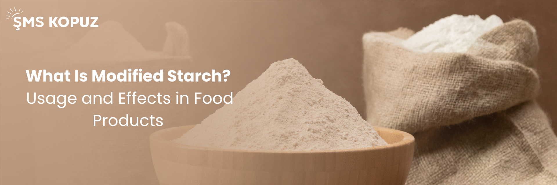 What Is Modified Starch? Its Applications and Effects in Food Products