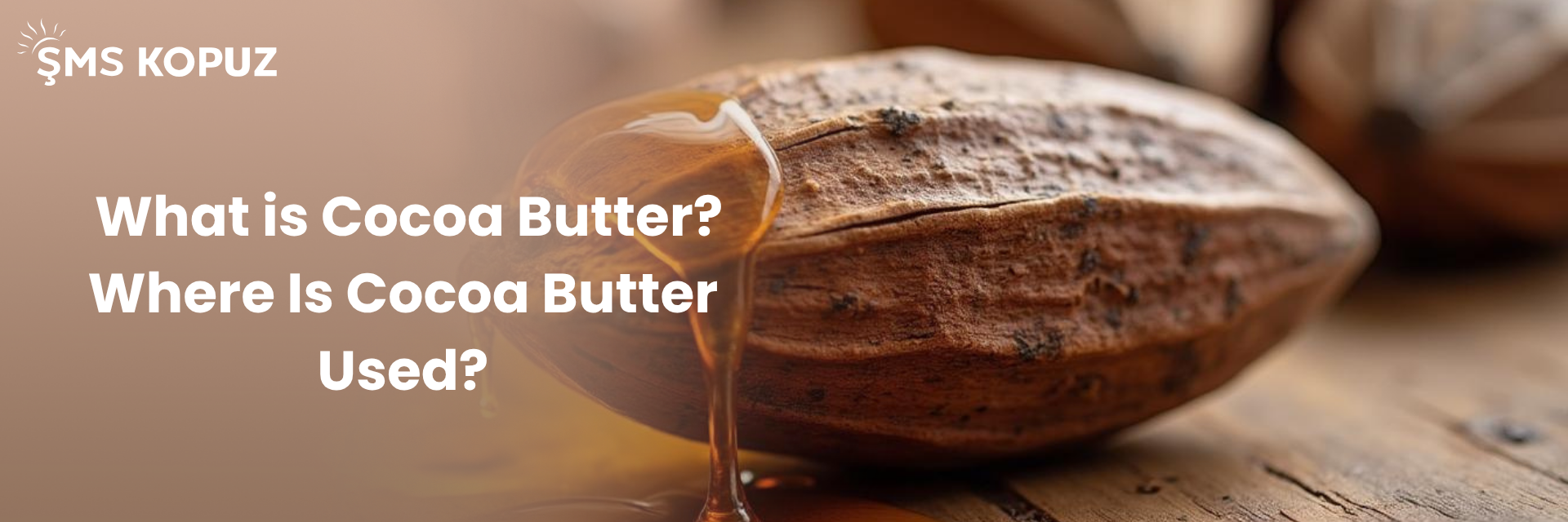 What is Cocoa Butter? What Are Its Benefits? Where Is It Used?