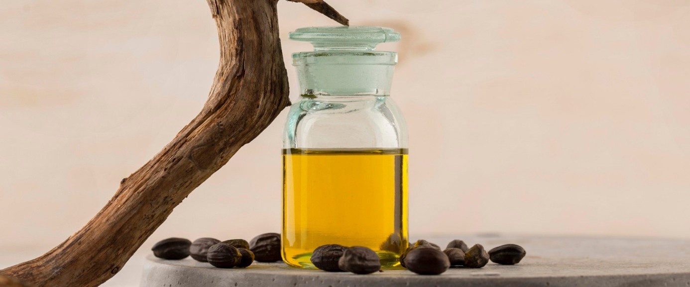 What is Cocoa Butter?