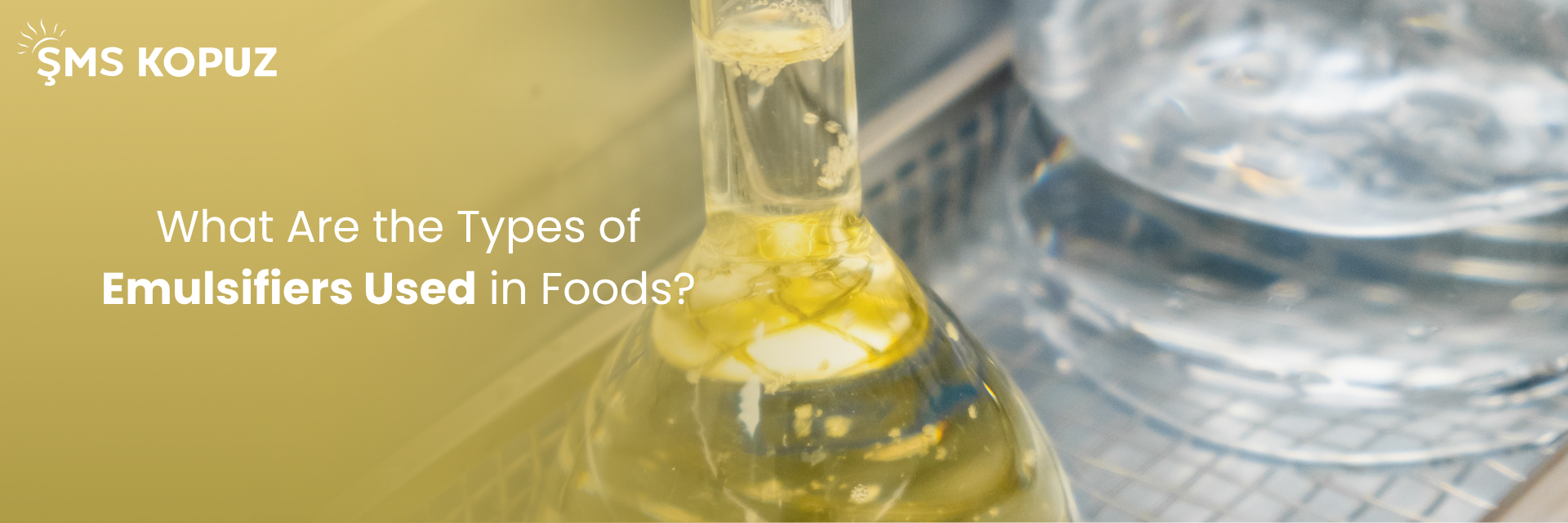 What Are the Types of Emulsifiers Used in Food?
