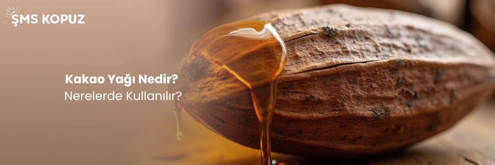 Kakao Yağı Nedir? Ne İşe Yarar? Nerelerde Kullanılır?