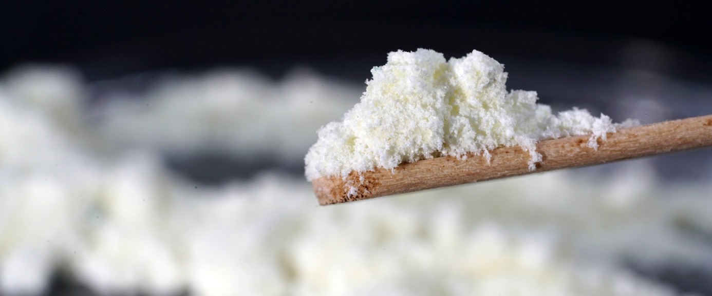 What Is Milk Powder Made From