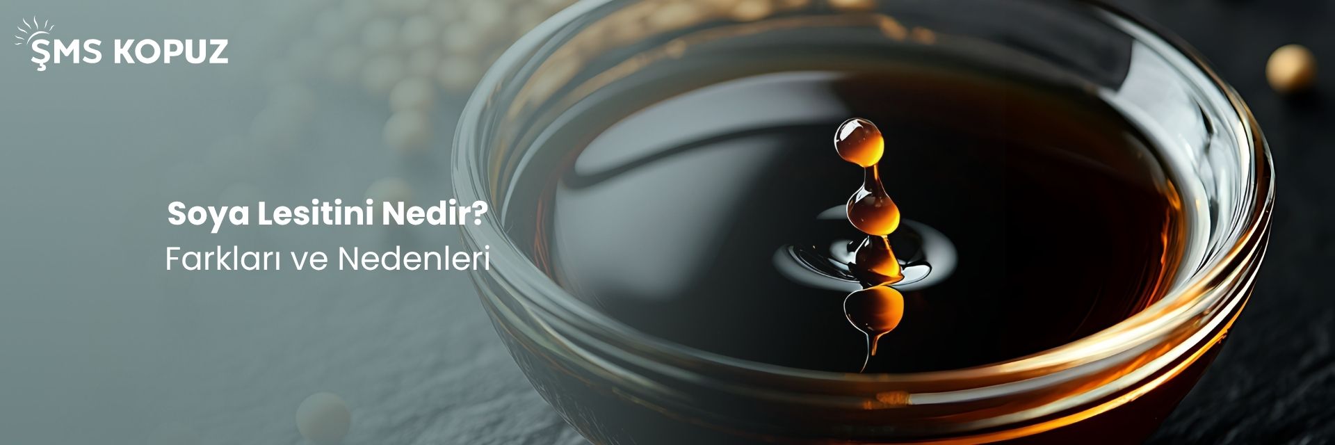 Soya Lesitini Nedir? Farkları ve Nedenleri